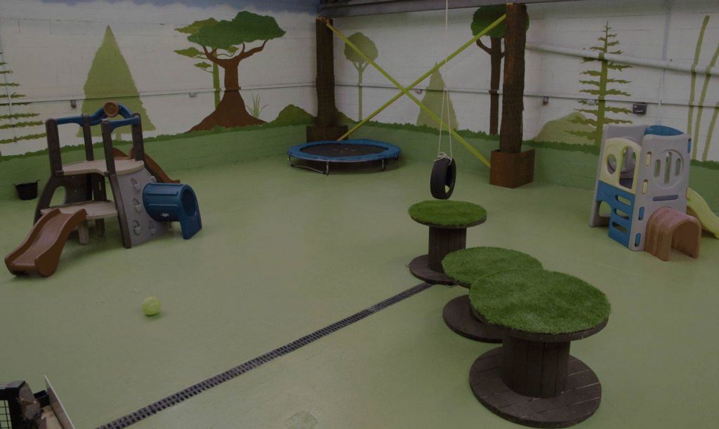 K9 Cabin Doggy Day Care We offer a warm, clean, safe